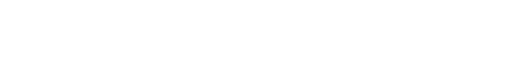 BitNet